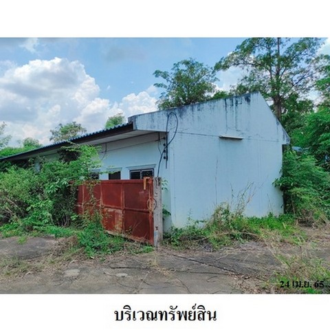 ประกาศฟรี! ซื้อ-ขาย-เช่า คอนโด บ้าน ทาวน์โฮม ที่ดิน และพื้นที่เชิงพาณิชย์ทั่วประเทศไทย ทุกทำเล ทุกงบประมาณ ไม่มีค่าใช้จ่าย ลงง่าย ขายไว เข้าถึงผู้ซื้อโดยตรง 5 237716pic4.jpg