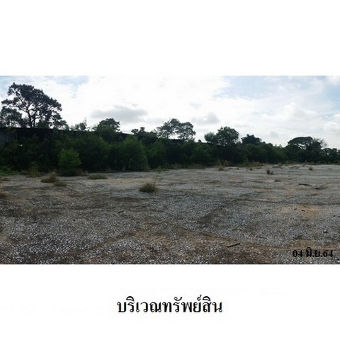 ประกาศฟรี! ซื้อ-ขาย-เช่า คอนโด บ้าน ทาวน์โฮม ที่ดิน และพื้นที่เชิงพาณิชย์ทั่วประเทศไทย ทุกทำเล ทุกงบประมาณ ไม่มีค่าใช้จ่าย ลงง่าย ขายไว เข้าถึงผู้ซื้อโดยตรง 4 237701pic3.jpg