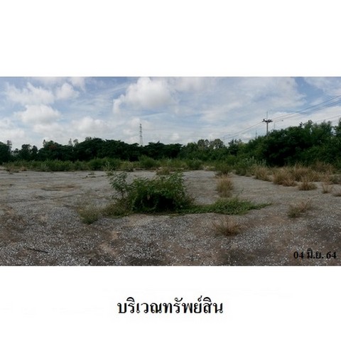 ประกาศฟรี! ซื้อ-ขาย-เช่า คอนโด บ้าน ทาวน์โฮม ที่ดิน และพื้นที่เชิงพาณิชย์ทั่วประเทศไทย ทุกทำเล ทุกงบประมาณ ไม่มีค่าใช้จ่าย ลงง่าย ขายไว เข้าถึงผู้ซื้อโดยตรง 5 237701pic4.jpg