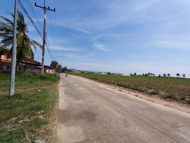 ประกาศฟรี! ซื้อ-ขาย-เช่า คอนโด บ้าน ทาวน์โฮม ที่ดิน และพื้นที่เชิงพาณิชย์ทั่วประเทศไทย ทุกทำเล ทุกงบประมาณ ไม่มีค่าใช้จ่าย ลงง่าย ขายไว เข้าถึงผู้ซื้อโดยตรง 4 314296pic3.jpg