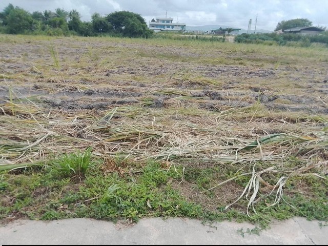 ประกาศฟรี! ซื้อ-ขาย-เช่า คอนโด บ้าน ทาวน์โฮม ที่ดิน และพื้นที่เชิงพาณิชย์ทั่วประเทศไทย ทุกทำเล ทุกงบประมาณ ไม่มีค่าใช้จ่าย ลงง่าย ขายไว เข้าถึงผู้ซื้อโดยตรง 5 314296pic4.jpg