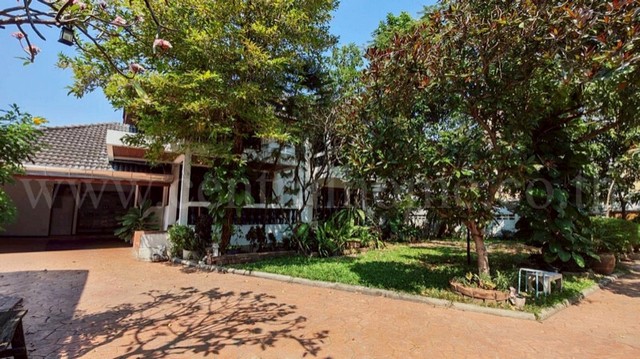 ประกาศฟรี! ซื้อ-ขาย-เช่า คอนโด บ้าน ทาวน์โฮม ที่ดิน และพื้นที่เชิงพาณิชย์ทั่วประเทศไทย ทุกทำเล ทุกงบประมาณ ไม่มีค่าใช้จ่าย ลงง่าย ขายไว เข้าถึงผู้ซื้อโดยตรง 2 249833pic1.jpg