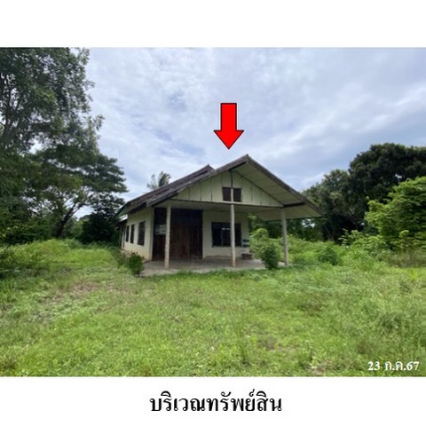 ประกาศฟรี! ซื้อ-ขาย-เช่า คอนโด บ้าน ทาวน์โฮม ที่ดิน และพื้นที่เชิงพาณิชย์ทั่วประเทศไทย ทุกทำเล ทุกงบประมาณ ไม่มีค่าใช้จ่าย ลงง่าย ขายไว เข้าถึงผู้ซื้อโดยตรง 2 237619pic1.jpg