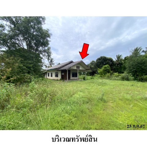 ประกาศฟรี! ซื้อ-ขาย-เช่า คอนโด บ้าน ทาวน์โฮม ที่ดิน และพื้นที่เชิงพาณิชย์ทั่วประเทศไทย ทุกทำเล ทุกงบประมาณ ไม่มีค่าใช้จ่าย ลงง่าย ขายไว เข้าถึงผู้ซื้อโดยตรง 4 237619pic3.jpg