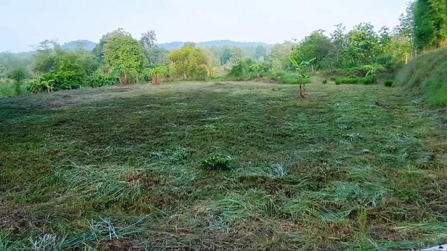 ประกาศฟรี! ซื้อ-ขาย-เช่า คอนโด บ้าน ทาวน์โฮม ที่ดิน และพื้นที่เชิงพาณิชย์ทั่วประเทศไทย ทุกทำเล ทุกงบประมาณ ไม่มีค่าใช้จ่าย ลงง่าย ขายไว เข้าถึงผู้ซื้อโดยตรง 2 249989pic1.jpg