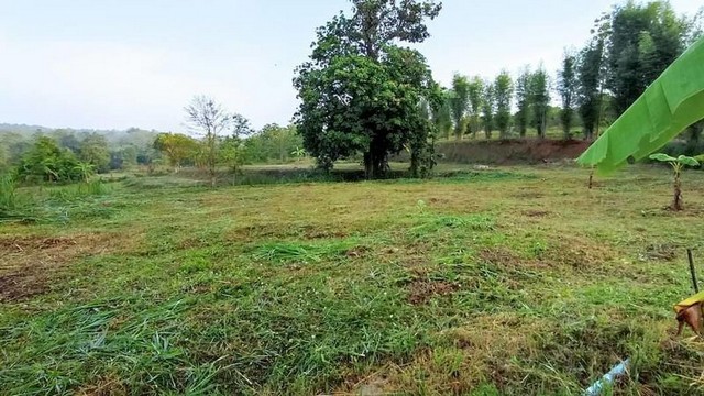 ประกาศฟรี! ซื้อ-ขาย-เช่า คอนโด บ้าน ทาวน์โฮม ที่ดิน และพื้นที่เชิงพาณิชย์ทั่วประเทศไทย ทุกทำเล ทุกงบประมาณ ไม่มีค่าใช้จ่าย ลงง่าย ขายไว เข้าถึงผู้ซื้อโดยตรง 3 249989pic2.jpg