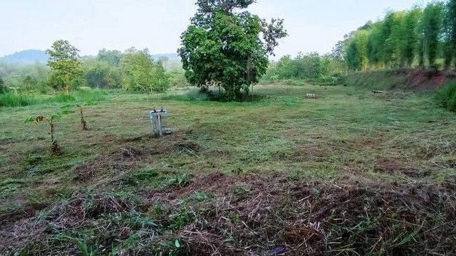 ประกาศฟรี! ซื้อ-ขาย-เช่า คอนโด บ้าน ทาวน์โฮม ที่ดิน และพื้นที่เชิงพาณิชย์ทั่วประเทศไทย ทุกทำเล ทุกงบประมาณ ไม่มีค่าใช้จ่าย ลงง่าย ขายไว เข้าถึงผู้ซื้อโดยตรง 4 249989pic3.jpg