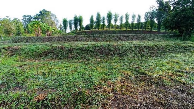 ประกาศฟรี! ซื้อ-ขาย-เช่า คอนโด บ้าน ทาวน์โฮม ที่ดิน และพื้นที่เชิงพาณิชย์ทั่วประเทศไทย ทุกทำเล ทุกงบประมาณ ไม่มีค่าใช้จ่าย ลงง่าย ขายไว เข้าถึงผู้ซื้อโดยตรง 5 249989pic4.jpg