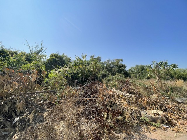 ประกาศฟรี! ซื้อ-ขาย-เช่า คอนโด บ้าน ทาวน์โฮม ที่ดิน และพื้นที่เชิงพาณิชย์ทั่วประเทศไทย ทุกทำเล ทุกงบประมาณ ไม่มีค่าใช้จ่าย ลงง่าย ขายไว เข้าถึงผู้ซื้อโดยตรง 3 314253pic2.jpg