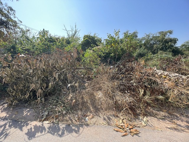 ประกาศฟรี! ซื้อ-ขาย-เช่า คอนโด บ้าน ทาวน์โฮม ที่ดิน และพื้นที่เชิงพาณิชย์ทั่วประเทศไทย ทุกทำเล ทุกงบประมาณ ไม่มีค่าใช้จ่าย ลงง่าย ขายไว เข้าถึงผู้ซื้อโดยตรง 4 314253pic3.jpg