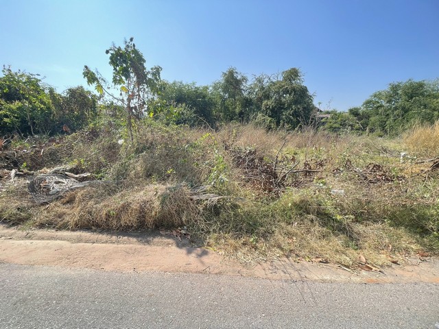 ประกาศฟรี! ซื้อ-ขาย-เช่า คอนโด บ้าน ทาวน์โฮม ที่ดิน และพื้นที่เชิงพาณิชย์ทั่วประเทศไทย ทุกทำเล ทุกงบประมาณ ไม่มีค่าใช้จ่าย ลงง่าย ขายไว เข้าถึงผู้ซื้อโดยตรง 5 314253pic4.jpg