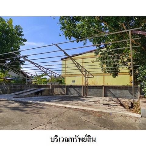 ประกาศฟรี! ซื้อ-ขาย-เช่า คอนโด บ้าน ทาวน์โฮม ที่ดิน และพื้นที่เชิงพาณิชย์ทั่วประเทศไทย ทุกทำเล ทุกงบประมาณ ไม่มีค่าใช้จ่าย ลงง่าย ขายไว เข้าถึงผู้ซื้อโดยตรง 5 237730pic4.jpg