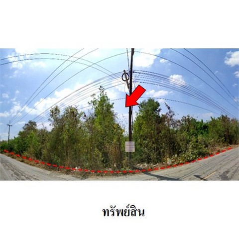 ประกาศฟรี! ซื้อ-ขาย-เช่า คอนโด บ้าน ทาวน์โฮม ที่ดิน และพื้นที่เชิงพาณิชย์ทั่วประเทศไทย ทุกทำเล ทุกงบประมาณ ไม่มีค่าใช้จ่าย ลงง่าย ขายไว เข้าถึงผู้ซื้อโดยตรง 3 237728pic2.jpg