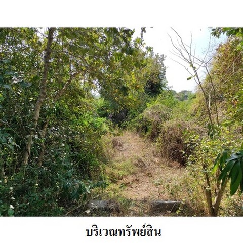 ประกาศฟรี! ซื้อ-ขาย-เช่า คอนโด บ้าน ทาวน์โฮม ที่ดิน และพื้นที่เชิงพาณิชย์ทั่วประเทศไทย ทุกทำเล ทุกงบประมาณ ไม่มีค่าใช้จ่าย ลงง่าย ขายไว เข้าถึงผู้ซื้อโดยตรง 4 237728pic3.jpg