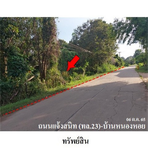 ประกาศฟรี! ซื้อ-ขาย-เช่า คอนโด บ้าน ทาวน์โฮม ที่ดิน และพื้นที่เชิงพาณิชย์ทั่วประเทศไทย ทุกทำเล ทุกงบประมาณ ไม่มีค่าใช้จ่าย ลงง่าย ขายไว เข้าถึงผู้ซื้อโดยตรง 2 237719pic1.jpg