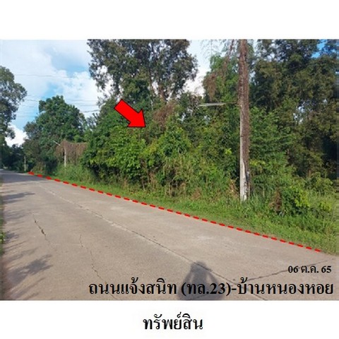 ประกาศฟรี! ซื้อ-ขาย-เช่า คอนโด บ้าน ทาวน์โฮม ที่ดิน และพื้นที่เชิงพาณิชย์ทั่วประเทศไทย ทุกทำเล ทุกงบประมาณ ไม่มีค่าใช้จ่าย ลงง่าย ขายไว เข้าถึงผู้ซื้อโดยตรง 3 237719pic2.jpg