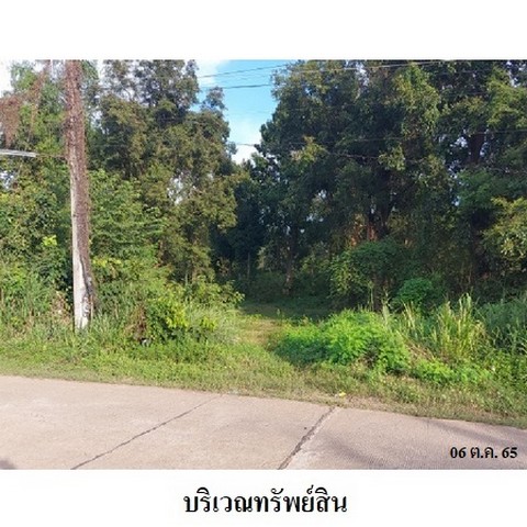 ประกาศฟรี! ซื้อ-ขาย-เช่า คอนโด บ้าน ทาวน์โฮม ที่ดิน และพื้นที่เชิงพาณิชย์ทั่วประเทศไทย ทุกทำเล ทุกงบประมาณ ไม่มีค่าใช้จ่าย ลงง่าย ขายไว เข้าถึงผู้ซื้อโดยตรง 4 237719pic3.jpg