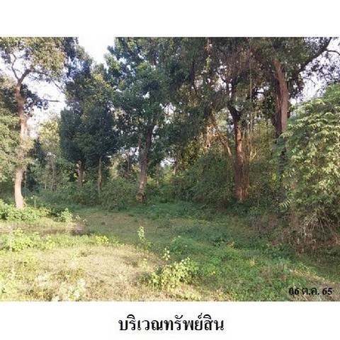 ประกาศฟรี! ซื้อ-ขาย-เช่า คอนโด บ้าน ทาวน์โฮม ที่ดิน และพื้นที่เชิงพาณิชย์ทั่วประเทศไทย ทุกทำเล ทุกงบประมาณ ไม่มีค่าใช้จ่าย ลงง่าย ขายไว เข้าถึงผู้ซื้อโดยตรง 5 237719pic4.jpg