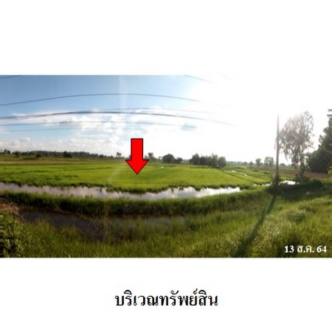 ประกาศฟรี! ซื้อ-ขาย-เช่า คอนโด บ้าน ทาวน์โฮม ที่ดิน และพื้นที่เชิงพาณิชย์ทั่วประเทศไทย ทุกทำเล ทุกงบประมาณ ไม่มีค่าใช้จ่าย ลงง่าย ขายไว เข้าถึงผู้ซื้อโดยตรง 2 237717pic1.jpg