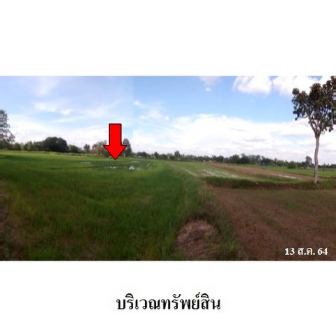 ประกาศฟรี! ซื้อ-ขาย-เช่า คอนโด บ้าน ทาวน์โฮม ที่ดิน และพื้นที่เชิงพาณิชย์ทั่วประเทศไทย ทุกทำเล ทุกงบประมาณ ไม่มีค่าใช้จ่าย ลงง่าย ขายไว เข้าถึงผู้ซื้อโดยตรง 3 237717pic2.jpg