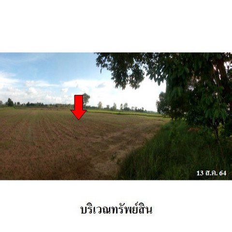 ประกาศฟรี! ซื้อ-ขาย-เช่า คอนโด บ้าน ทาวน์โฮม ที่ดิน และพื้นที่เชิงพาณิชย์ทั่วประเทศไทย ทุกทำเล ทุกงบประมาณ ไม่มีค่าใช้จ่าย ลงง่าย ขายไว เข้าถึงผู้ซื้อโดยตรง 4 237717pic3.jpg