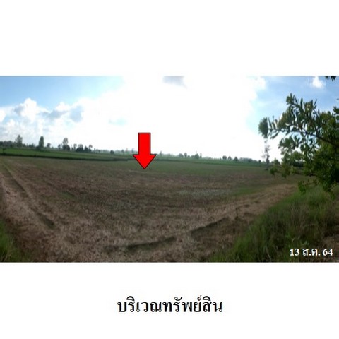 ประกาศฟรี! ซื้อ-ขาย-เช่า คอนโด บ้าน ทาวน์โฮม ที่ดิน และพื้นที่เชิงพาณิชย์ทั่วประเทศไทย ทุกทำเล ทุกงบประมาณ ไม่มีค่าใช้จ่าย ลงง่าย ขายไว เข้าถึงผู้ซื้อโดยตรง 5 237717pic4.jpg