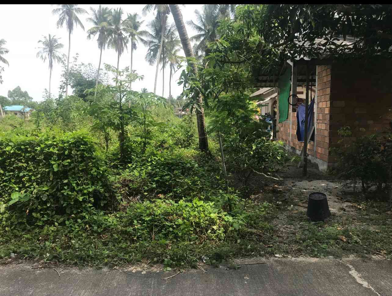 ประกาศฟรี! ซื้อ-ขาย-เช่า คอนโด บ้าน ทาวน์โฮม ที่ดิน และพื้นที่เชิงพาณิชย์ทั่วประเทศไทย ทุกทำเล ทุกงบประมาณ ไม่มีค่าใช้จ่าย ลงง่าย ขายไว เข้าถึงผู้ซื้อโดยตรง 3 314337pic2.jpg