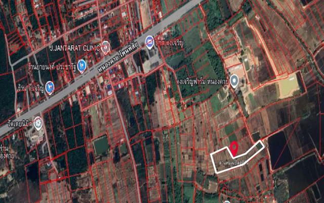 ประกาศฟรี! ซื้อ-ขาย-เช่า คอนโด บ้าน ทาวน์โฮม ที่ดิน และพื้นที่เชิงพาณิชย์ทั่วประเทศไทย ทุกทำเล ทุกงบประมาณ ไม่มีค่าใช้จ่าย ลงง่าย ขายไว เข้าถึงผู้ซื้อโดยตรง 2 314257pic1.jpg