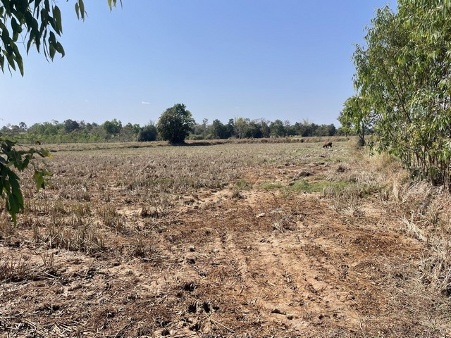 ประกาศฟรี! ซื้อ-ขาย-เช่า คอนโด บ้าน ทาวน์โฮม ที่ดิน และพื้นที่เชิงพาณิชย์ทั่วประเทศไทย ทุกทำเล ทุกงบประมาณ ไม่มีค่าใช้จ่าย ลงง่าย ขายไว เข้าถึงผู้ซื้อโดยตรง 3 314257pic2.jpg