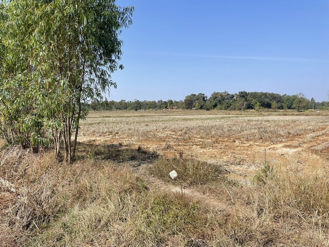 ประกาศฟรี! ซื้อ-ขาย-เช่า คอนโด บ้าน ทาวน์โฮม ที่ดิน และพื้นที่เชิงพาณิชย์ทั่วประเทศไทย ทุกทำเล ทุกงบประมาณ ไม่มีค่าใช้จ่าย ลงง่าย ขายไว เข้าถึงผู้ซื้อโดยตรง 4 314257pic3.jpg