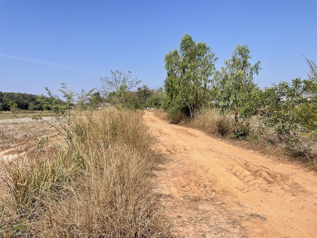 ประกาศฟรี! ซื้อ-ขาย-เช่า คอนโด บ้าน ทาวน์โฮม ที่ดิน และพื้นที่เชิงพาณิชย์ทั่วประเทศไทย ทุกทำเล ทุกงบประมาณ ไม่มีค่าใช้จ่าย ลงง่าย ขายไว เข้าถึงผู้ซื้อโดยตรง 5 314257pic4.jpg