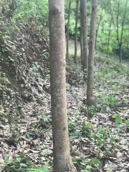 ประกาศฟรี! ซื้อ-ขาย-เช่า คอนโด บ้าน ทาวน์โฮม ที่ดิน และพื้นที่เชิงพาณิชย์ทั่วประเทศไทย ทุกทำเล ทุกงบประมาณ ไม่มีค่าใช้จ่าย ลงง่าย ขายไว เข้าถึงผู้ซื้อโดยตรง 3 314332pic2.jpg