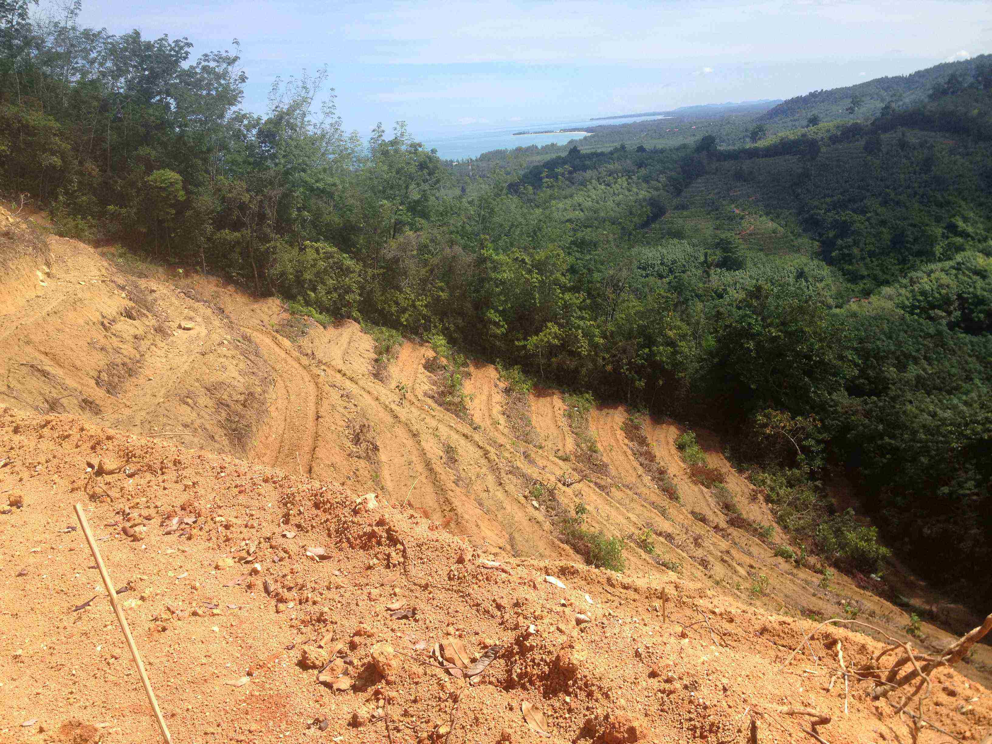 ประกาศฟรี! ซื้อ-ขาย-เช่า คอนโด บ้าน ทาวน์โฮม ที่ดิน และพื้นที่เชิงพาณิชย์ทั่วประเทศไทย ทุกทำเล ทุกงบประมาณ ไม่มีค่าใช้จ่าย ลงง่าย ขายไว เข้าถึงผู้ซื้อโดยตรง 4 314332pic3.jpg