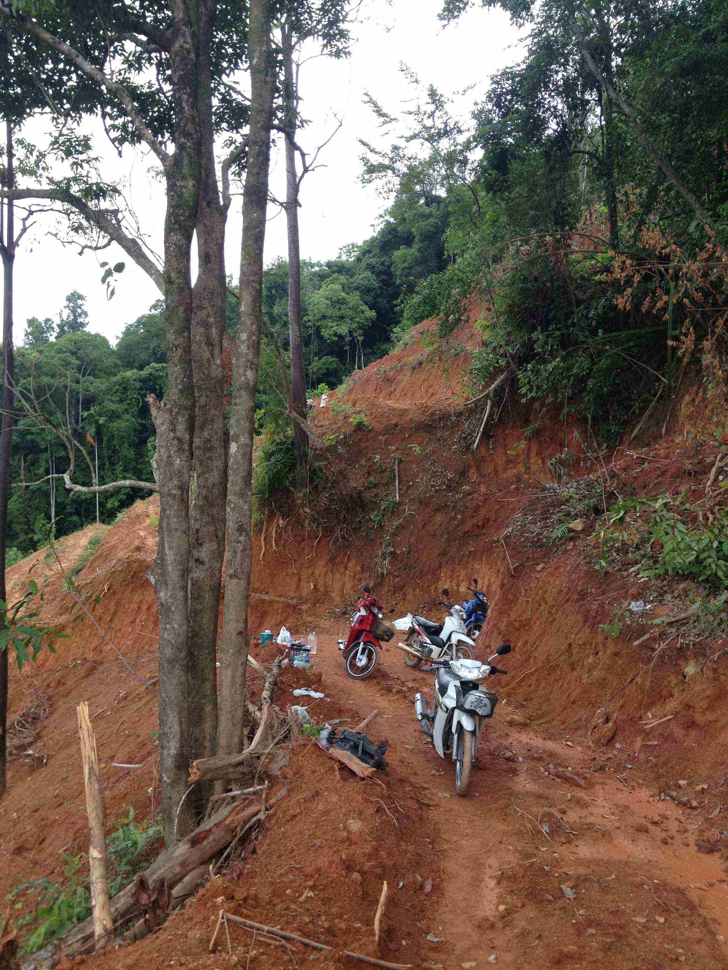 ประกาศฟรี! ซื้อ-ขาย-เช่า คอนโด บ้าน ทาวน์โฮม ที่ดิน และพื้นที่เชิงพาณิชย์ทั่วประเทศไทย ทุกทำเล ทุกงบประมาณ ไม่มีค่าใช้จ่าย ลงง่าย ขายไว เข้าถึงผู้ซื้อโดยตรง 5 314332pic4.jpg