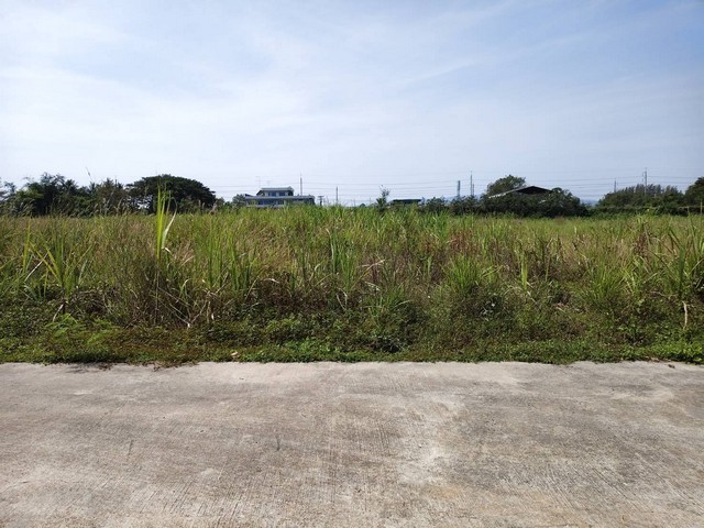 ประกาศฟรี! ซื้อ-ขาย-เช่า คอนโด บ้าน ทาวน์โฮม ที่ดิน และพื้นที่เชิงพาณิชย์ทั่วประเทศไทย ทุกทำเล ทุกงบประมาณ ไม่มีค่าใช้จ่าย ลงง่าย ขายไว เข้าถึงผู้ซื้อโดยตรง 4 314354pic3.jpg