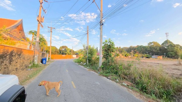 ประกาศฟรี! ซื้อ-ขาย-เช่า คอนโด บ้าน ทาวน์โฮม ที่ดิน และพื้นที่เชิงพาณิชย์ทั่วประเทศไทย ทุกทำเล ทุกงบประมาณ ไม่มีค่าใช้จ่าย ลงง่าย ขายไว เข้าถึงผู้ซื้อโดยตรง 5 314382pic4.jpg