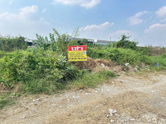 ประกาศฟรี! ซื้อ-ขาย-เช่า คอนโด บ้าน ทาวน์โฮม ที่ดิน และพื้นที่เชิงพาณิชย์ทั่วประเทศไทย ทุกทำเล ทุกงบประมาณ ไม่มีค่าใช้จ่าย ลงง่าย ขายไว เข้าถึงผู้ซื้อโดยตรง 2 512675pic1.jpg