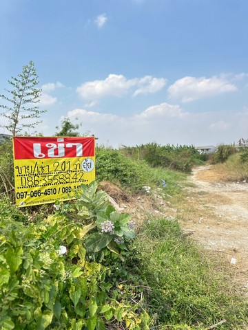 ประกาศฟรี! ซื้อ-ขาย-เช่า คอนโด บ้าน ทาวน์โฮม ที่ดิน และพื้นที่เชิงพาณิชย์ทั่วประเทศไทย ทุกทำเล ทุกงบประมาณ ไม่มีค่าใช้จ่าย ลงง่าย ขายไว เข้าถึงผู้ซื้อโดยตรง 3 512675pic2.jpg