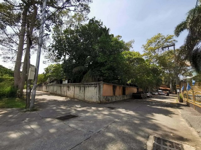 ประกาศฟรี! ซื้อ-ขาย-เช่า คอนโด บ้าน ทาวน์โฮม ที่ดิน และพื้นที่เชิงพาณิชย์ทั่วประเทศไทย ทุกทำเล ทุกงบประมาณ ไม่มีค่าใช้จ่าย ลงง่าย ขายไว เข้าถึงผู้ซื้อโดยตรง 3 249914pic2.jpg