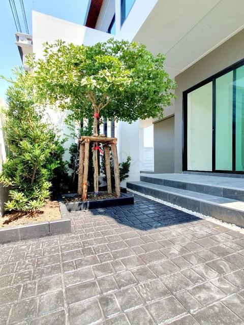 ประกาศฟรี! ซื้อ-ขาย-เช่า คอนโด บ้าน ทาวน์โฮม ที่ดิน และพื้นที่เชิงพาณิชย์ทั่วประเทศไทย ทุกทำเล ทุกงบประมาณ ไม่มีค่าใช้จ่าย ลงง่าย ขายไว เข้าถึงผู้ซื้อโดยตรง 2 511984pic1.jpg