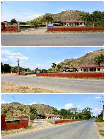 ประกาศฟรี! ซื้อ-ขาย-เช่า คอนโด บ้าน ทาวน์โฮม ที่ดิน และพื้นที่เชิงพาณิชย์ทั่วประเทศไทย ทุกทำเล ทุกงบประมาณ ไม่มีค่าใช้จ่าย ลงง่าย ขายไว เข้าถึงผู้ซื้อโดยตรง 5 250952pic4.jpg