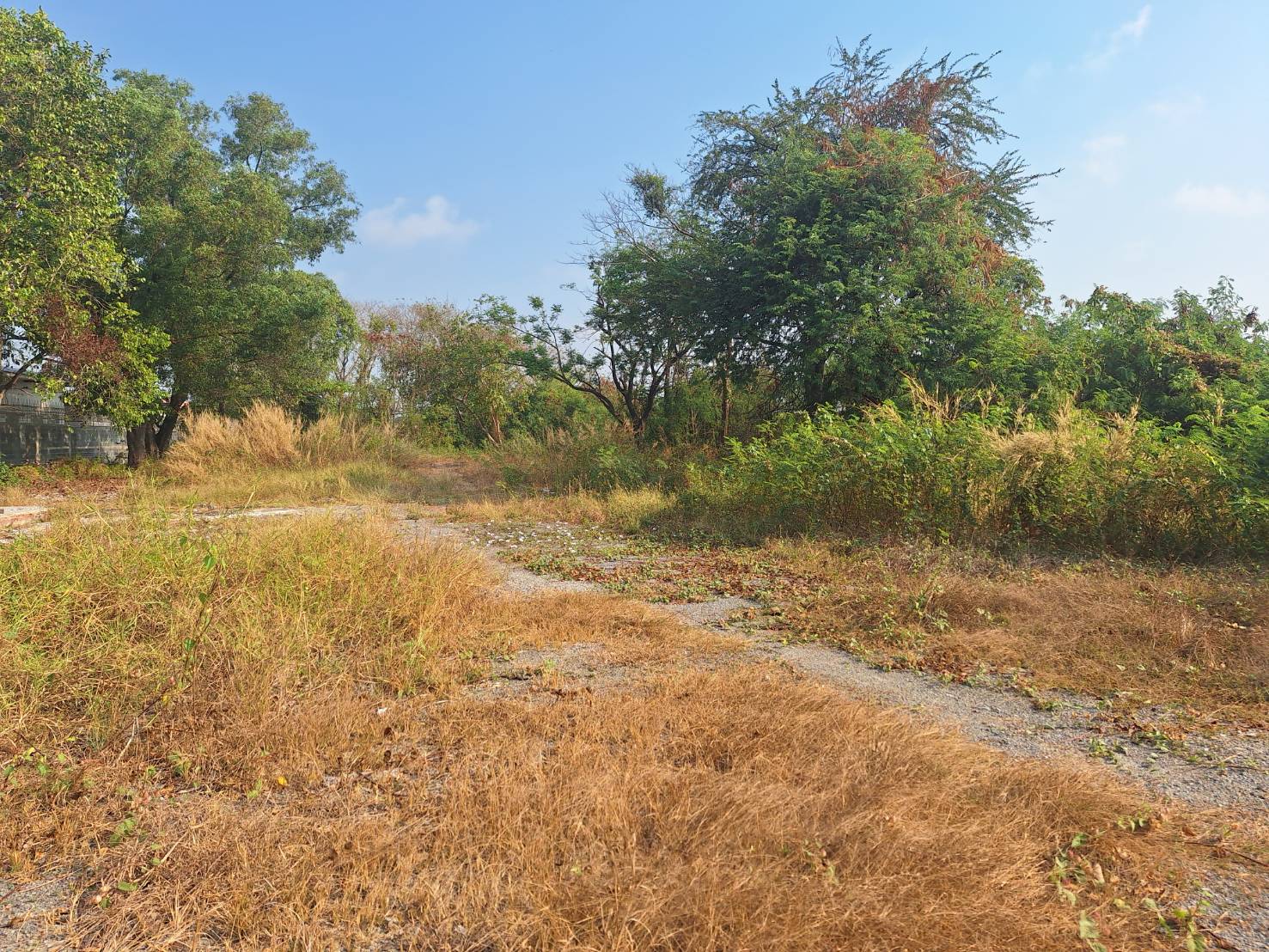 ประกาศฟรี! ซื้อ-ขาย-เช่า คอนโด บ้าน ทาวน์โฮม ที่ดิน และพื้นที่เชิงพาณิชย์ทั่วประเทศไทย ทุกทำเล ทุกงบประมาณ ไม่มีค่าใช้จ่าย ลงง่าย ขายไว เข้าถึงผู้ซื้อโดยตรง 3 293853pic2.jpg