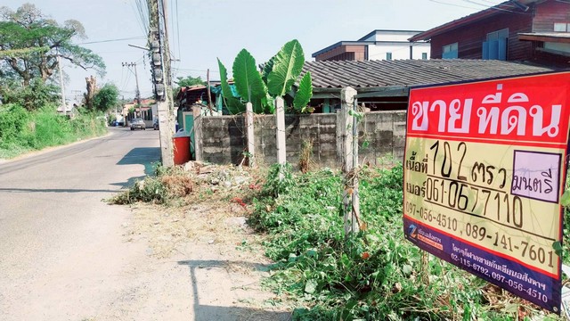 ประกาศฟรี! ซื้อ-ขาย-เช่า คอนโด บ้าน ทาวน์โฮม ที่ดิน และพื้นที่เชิงพาณิชย์ทั่วประเทศไทย ทุกทำเล ทุกงบประมาณ ไม่มีค่าใช้จ่าย ลงง่าย ขายไว เข้าถึงผู้ซื้อโดยตรง 4 512702pic3.jpg