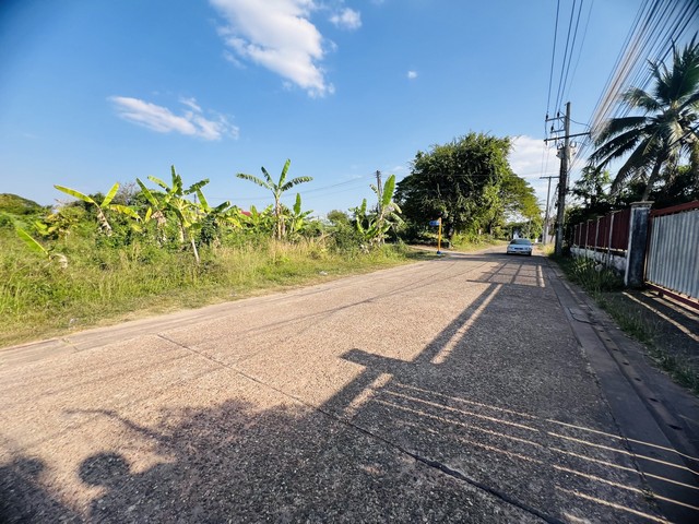 ประกาศฟรี! ซื้อ-ขาย-เช่า คอนโด บ้าน ทาวน์โฮม ที่ดิน และพื้นที่เชิงพาณิชย์ทั่วประเทศไทย ทุกทำเล ทุกงบประมาณ ไม่มีค่าใช้จ่าย ลงง่าย ขายไว เข้าถึงผู้ซื้อโดยตรง 2 512833pic1.jpg