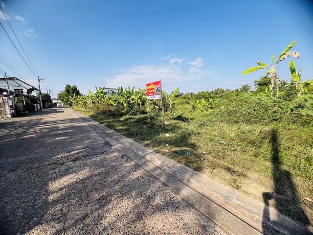 ประกาศฟรี! ซื้อ-ขาย-เช่า คอนโด บ้าน ทาวน์โฮม ที่ดิน และพื้นที่เชิงพาณิชย์ทั่วประเทศไทย ทุกทำเล ทุกงบประมาณ ไม่มีค่าใช้จ่าย ลงง่าย ขายไว เข้าถึงผู้ซื้อโดยตรง 3 512833pic2.jpg