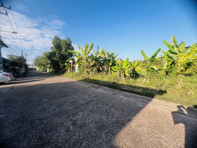 ประกาศฟรี! ซื้อ-ขาย-เช่า คอนโด บ้าน ทาวน์โฮม ที่ดิน และพื้นที่เชิงพาณิชย์ทั่วประเทศไทย ทุกทำเล ทุกงบประมาณ ไม่มีค่าใช้จ่าย ลงง่าย ขายไว เข้าถึงผู้ซื้อโดยตรง 4 512833pic3.jpg