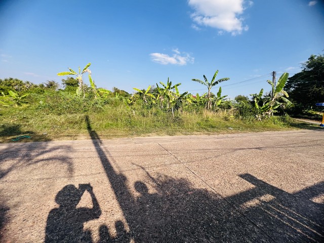 ประกาศฟรี! ซื้อ-ขาย-เช่า คอนโด บ้าน ทาวน์โฮม ที่ดิน และพื้นที่เชิงพาณิชย์ทั่วประเทศไทย ทุกทำเล ทุกงบประมาณ ไม่มีค่าใช้จ่าย ลงง่าย ขายไว เข้าถึงผู้ซื้อโดยตรง 5 512833pic4.jpg