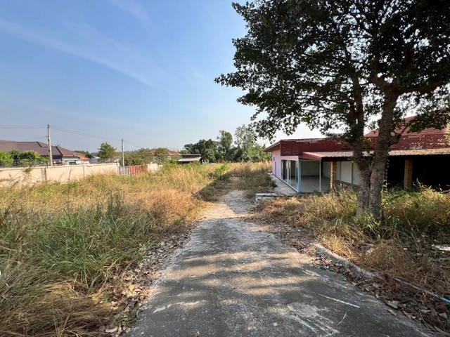 ประกาศฟรี! ซื้อ-ขาย-เช่า คอนโด บ้าน ทาวน์โฮม ที่ดิน และพื้นที่เชิงพาณิชย์ทั่วประเทศไทย ทุกทำเล ทุกงบประมาณ ไม่มีค่าใช้จ่าย ลงง่าย ขายไว เข้าถึงผู้ซื้อโดยตรง 5 314485pic4.jpg