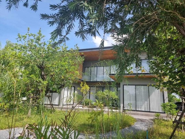 ประกาศฟรี! ซื้อ-ขาย-เช่า คอนโด บ้าน ทาวน์โฮม ที่ดิน และพื้นที่เชิงพาณิชย์ทั่วประเทศไทย ทุกทำเล ทุกงบประมาณ ไม่มีค่าใช้จ่าย ลงง่าย ขายไว เข้าถึงผู้ซื้อโดยตรง 3 314463pic2.jpg