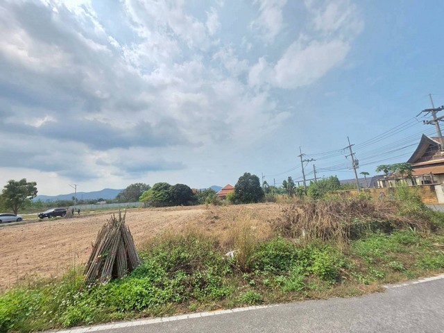 ประกาศฟรี! ซื้อ-ขาย-เช่า คอนโด บ้าน ทาวน์โฮม ที่ดิน และพื้นที่เชิงพาณิชย์ทั่วประเทศไทย ทุกทำเล ทุกงบประมาณ ไม่มีค่าใช้จ่าย ลงง่าย ขายไว เข้าถึงผู้ซื้อโดยตรง 5 250961pic4.jpg